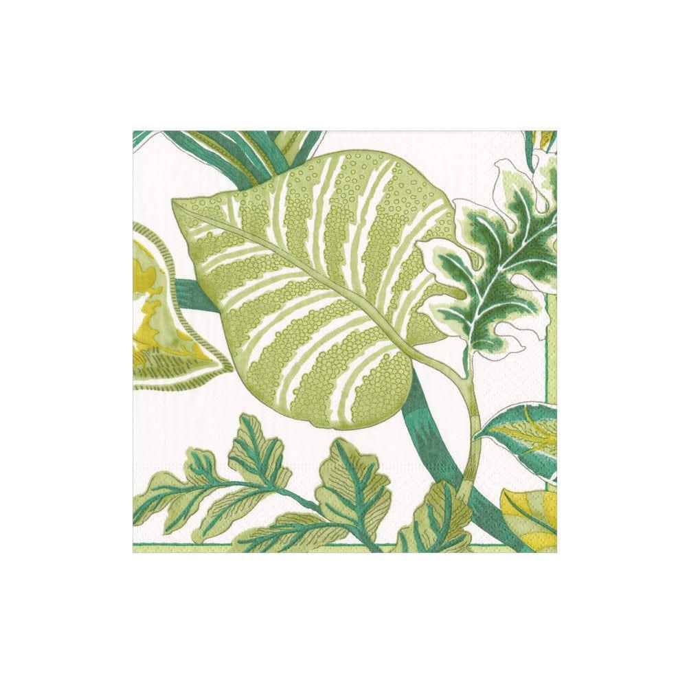 Florida Paper Cocktail Napkins